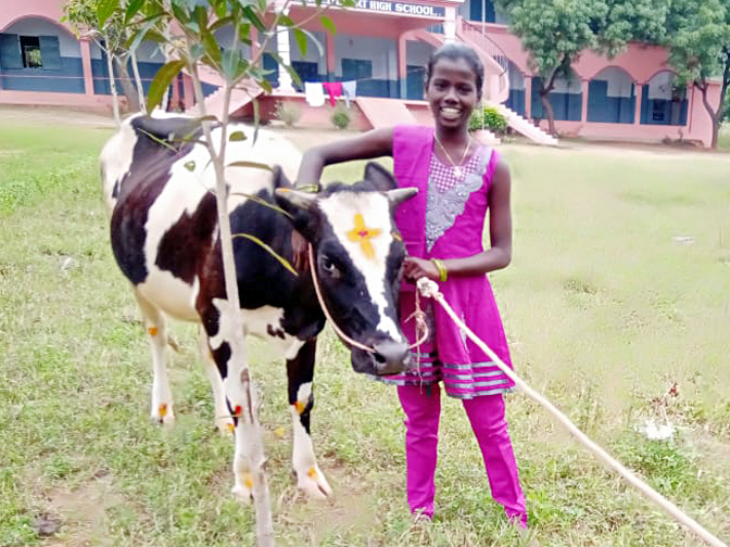 Animals for Nirmala Matha