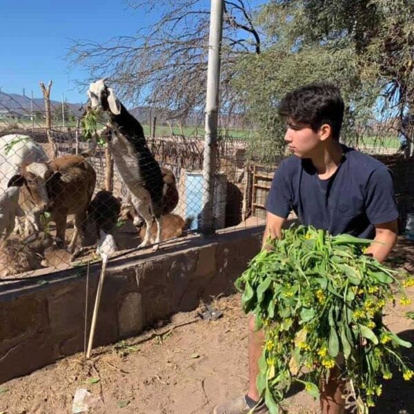 Farming at Casa Hogar-Sustainability project