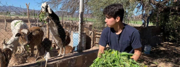 Casa Hogar Farming